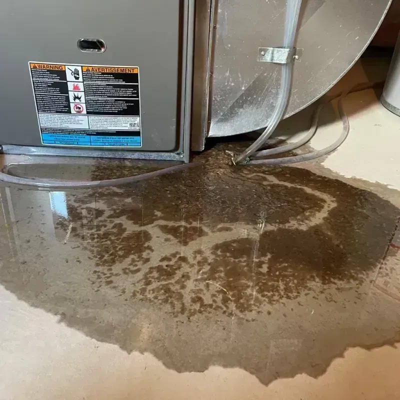 Appliance Leak Cleanup in Albion, IL